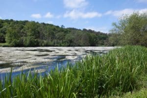 Aquamuseu rio Minho