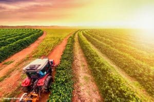 Seca Governo Algarve