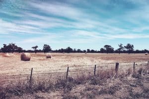 Governo Seca Algarve