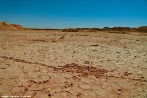 Governo Contra Seca Algarve