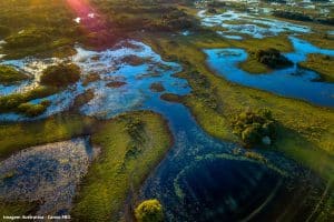 Políticas Intersetorias Biodiversidade