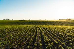 Agricultores Meio Ambiente