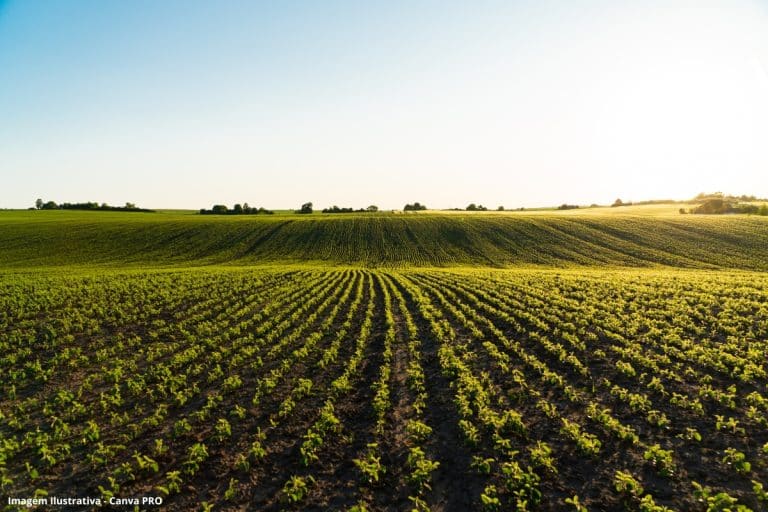 “Os agricultores não são vilões, são amigos do meio ambiente”