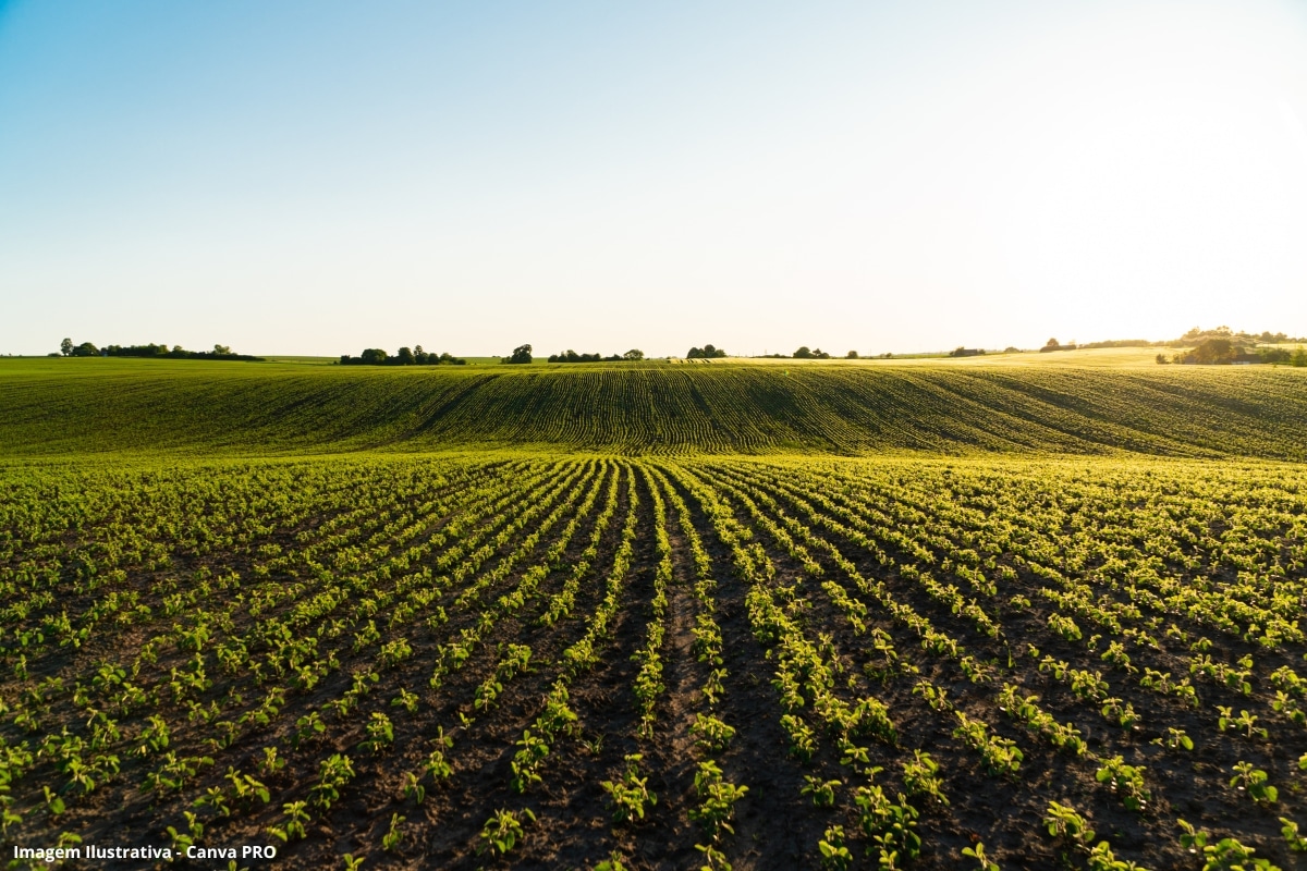 Agricultores Meio Ambiente