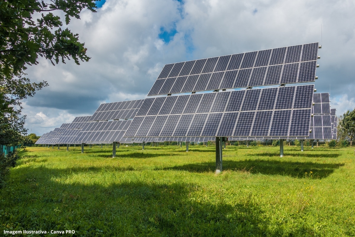 Energia Renováveis Consumo Eletricidade