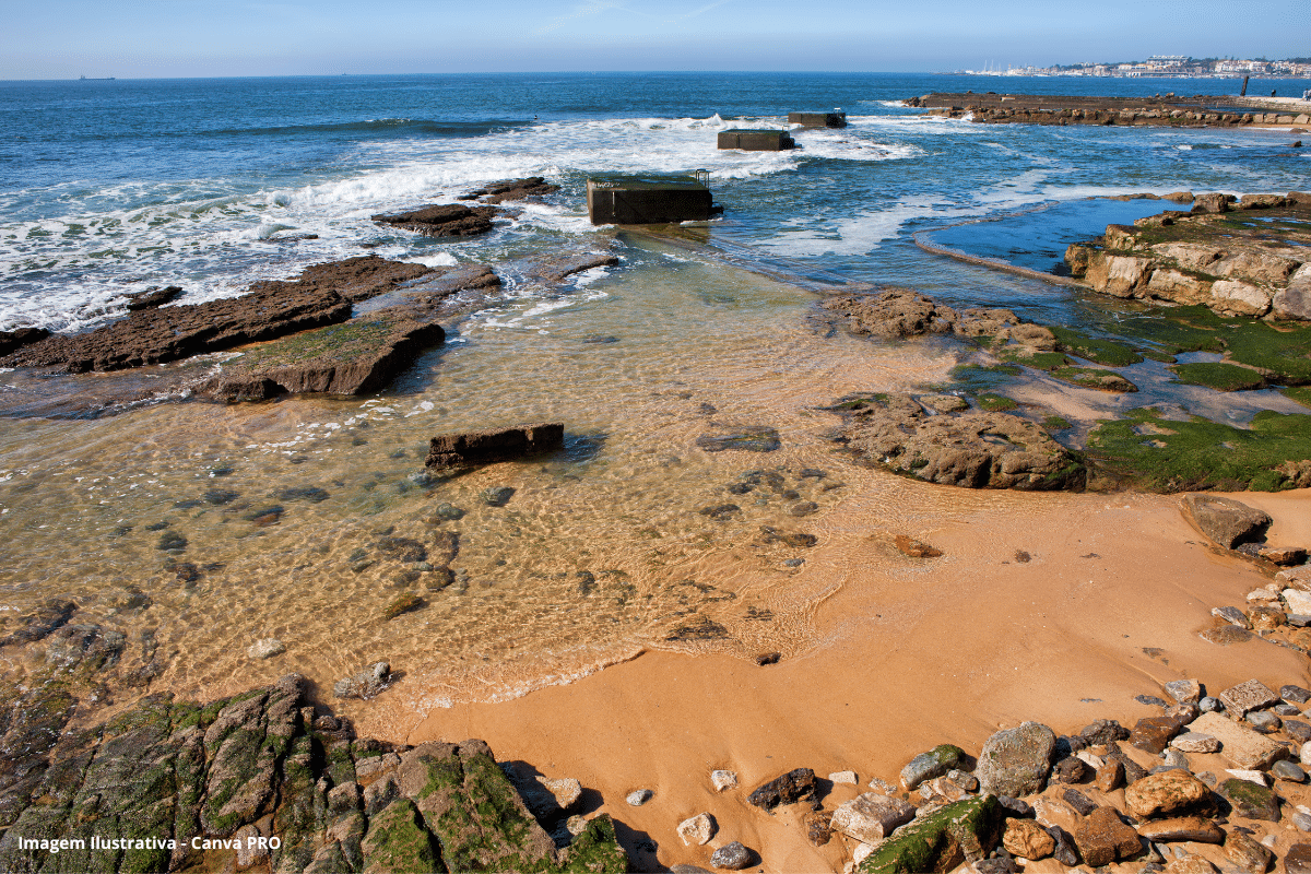 Inspeção Intercetor Costa Estoril