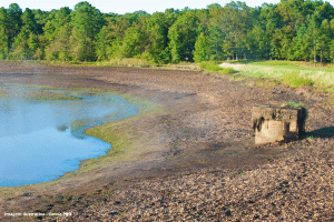Seca Europa Recorde Calor