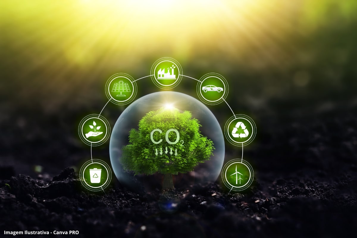 Luz Solar Molécula CO2
