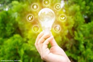 Investimentos floresta eficiência energética