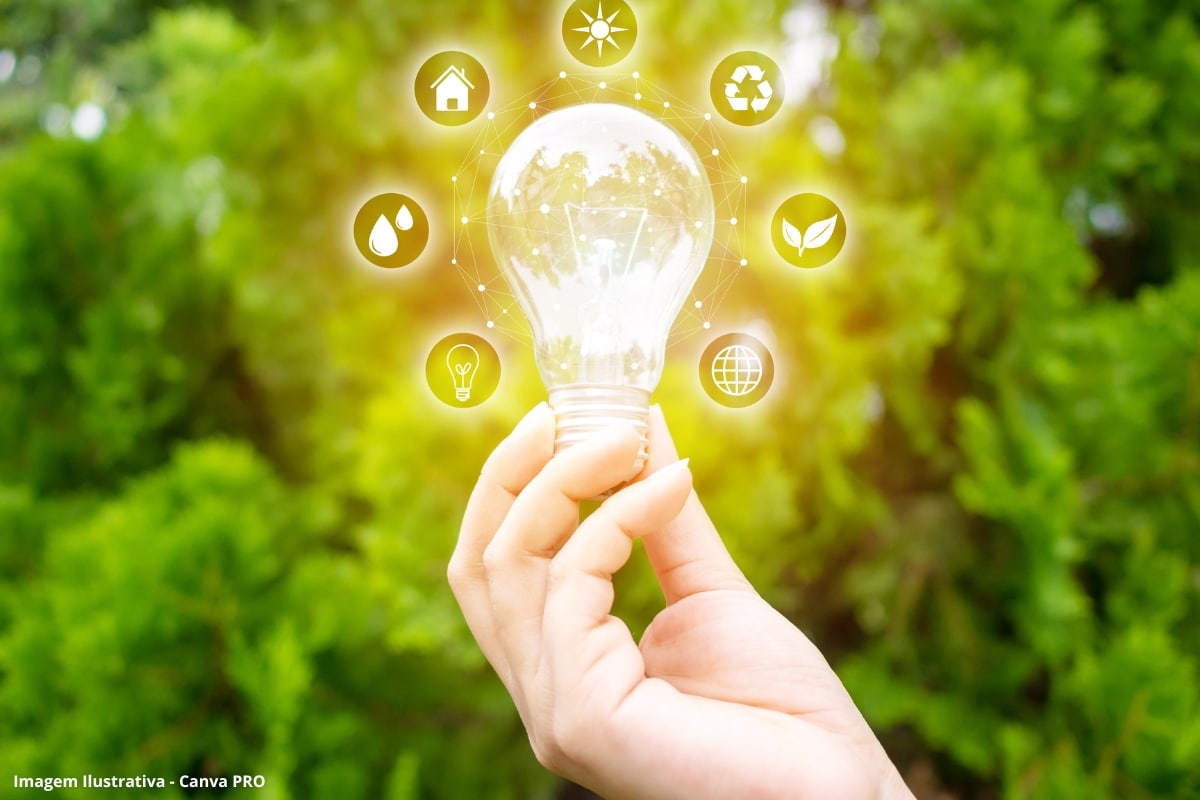 Investimentos floresta eficiência energética