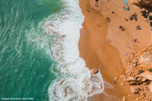 IoT Mar Português