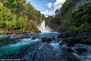 Revisão Estratégia Biodiversidade