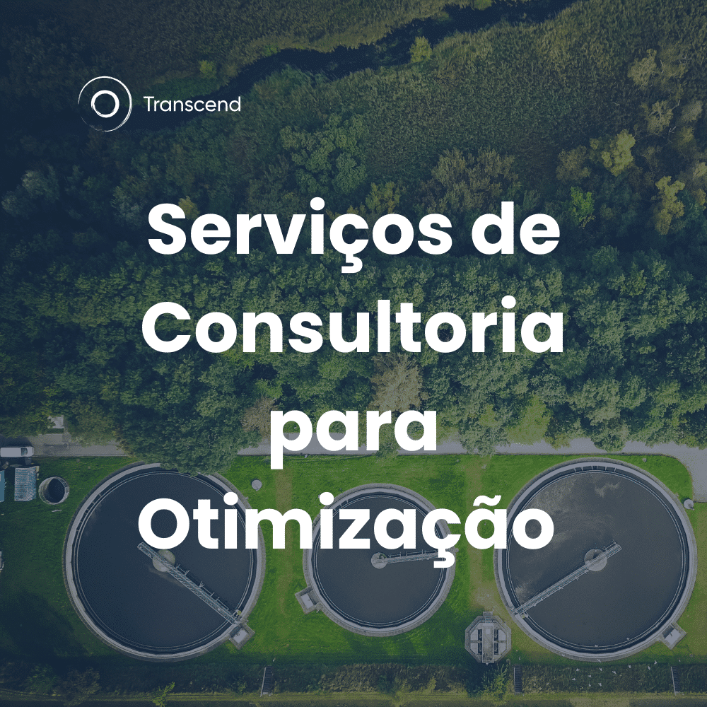 Serviços Consultoria Otimização