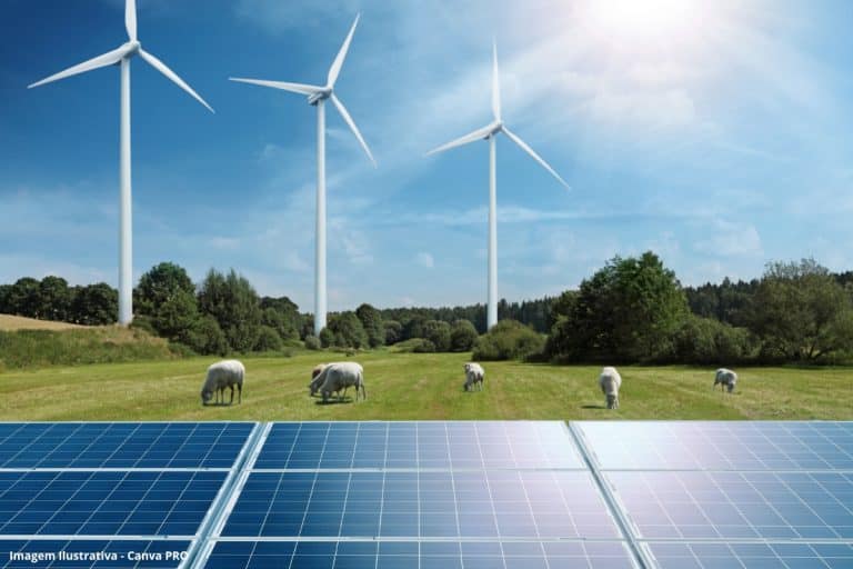 91% dos novos projetos de energia renovável mais baratos do que alternativas fósseis, segundo IRENA