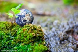 Natureza Planeamento Territorial