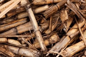 Fundo Ambiental Centrais Biomassa