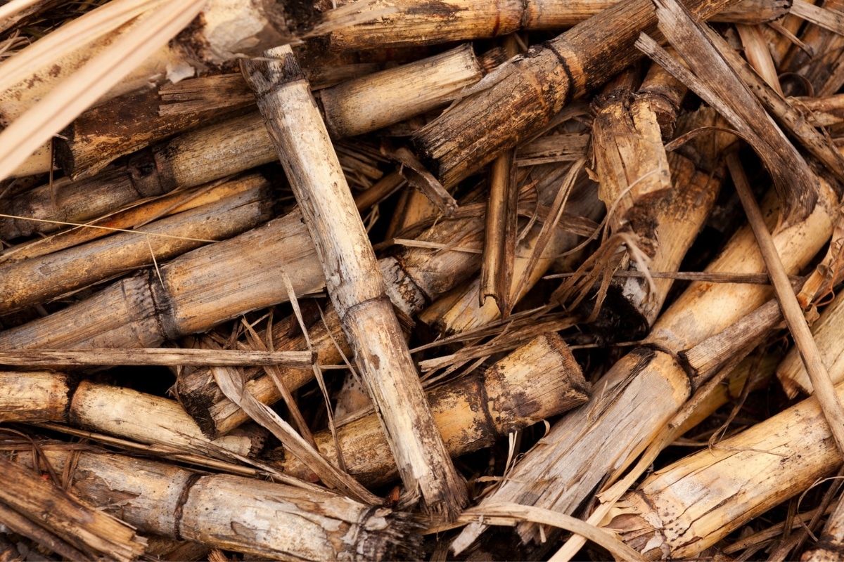 Fundo Ambiental Centrais Biomassa