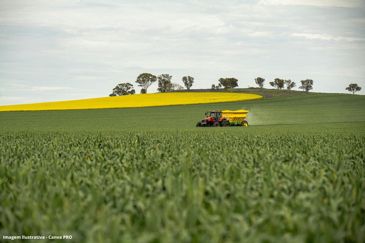 Investigação transforma jacintos-de-água em fertilizantes por compostagem