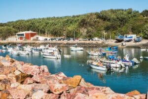 Abrigo climático, linha do Alentejo e A26 os anúncios da ministra do Ambiente