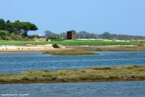 Os campos de golfe do Algarve vão ser irrigados com água reciclada