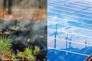 Quercus aponta os piores e melhores factos ambientais de 2025 e lança alertas para 2026