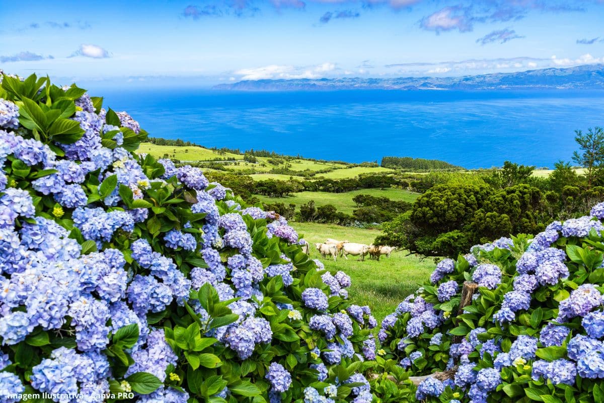 Taxa sobre resíduos nos Açores vai deixar de estar associada à fatura da água