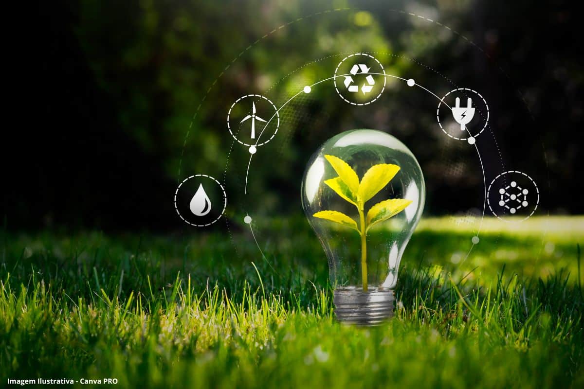 Governo admite atrasos nos avisos do PRR e aponta Ambiente como principal bloqueio