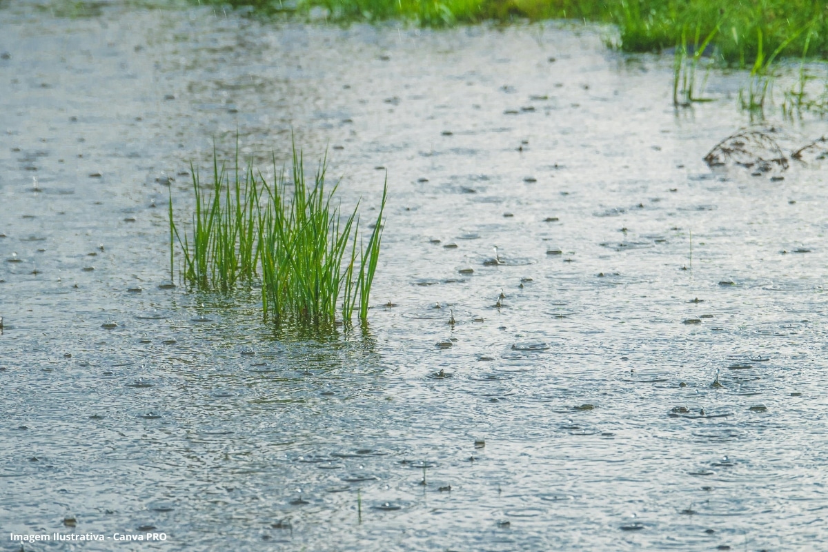 Mês de janeiro deve ter sido o mais chuvoso de sempre PG
