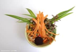 Biorresíduos aumentam 14% na EGF e reforçam economia circular PG