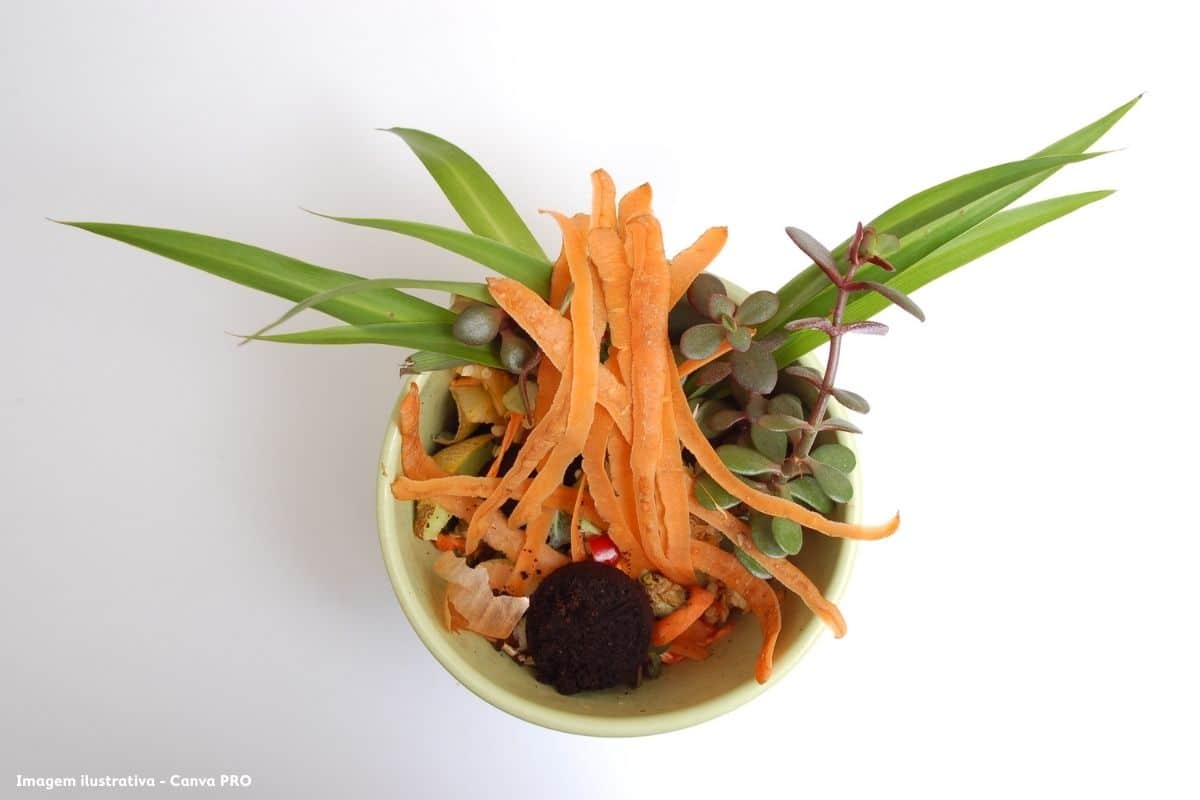 Biorresíduos aumentam 14% na EGF e reforçam economia circular PG