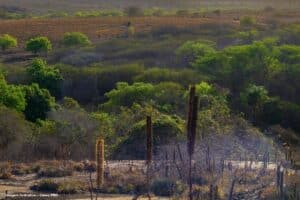 Promotores avisam que projetos solar e turístico no Alqueva estão em risco