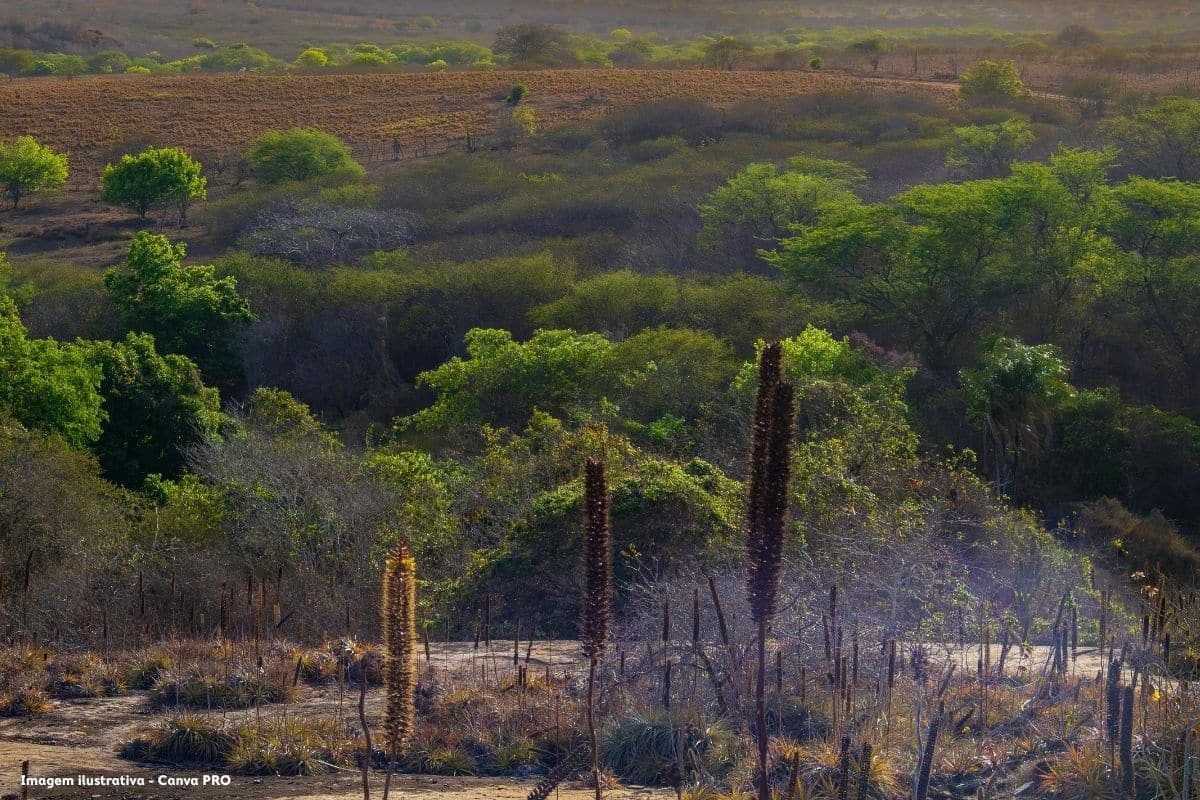 Promotores avisam que projetos solar e turístico no Alqueva estão em risco