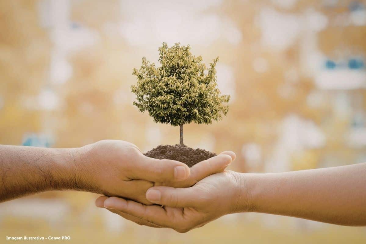 Tribunal da UE multa Portugal em dez milhões de euros por falhas ambientais PG