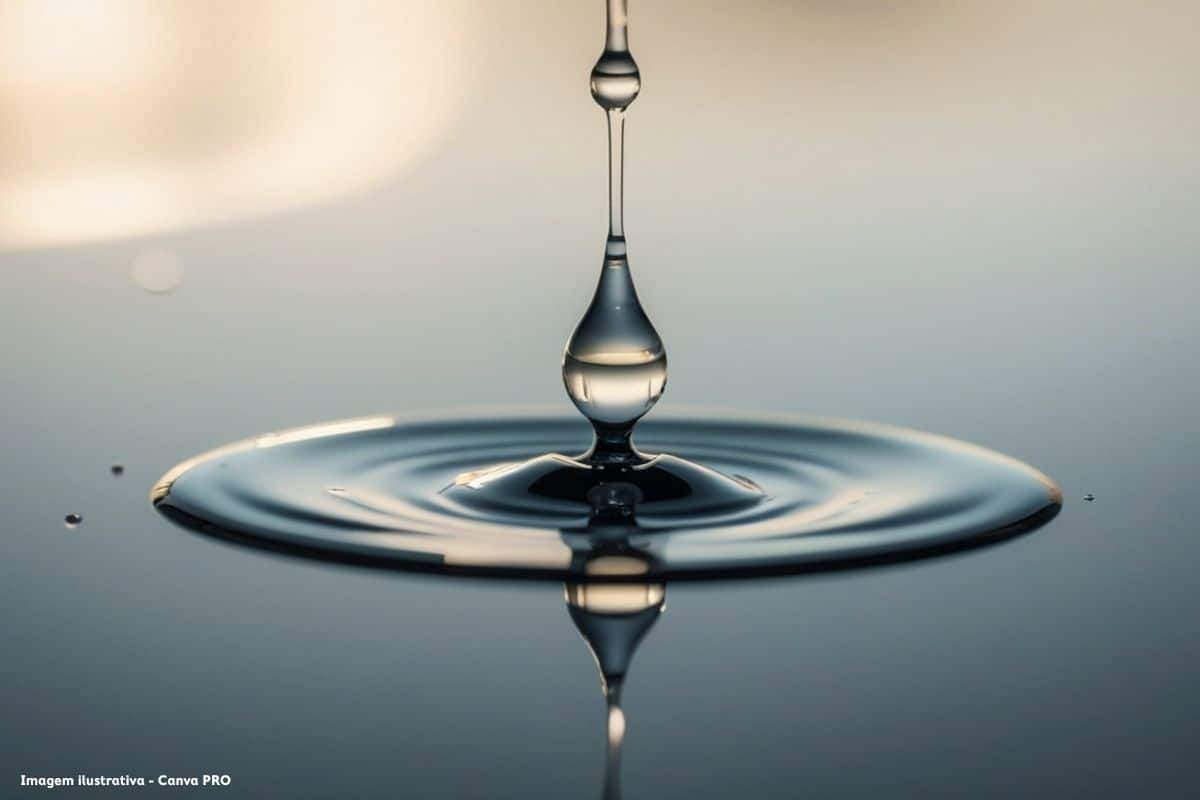 Águas do Tejo Atlântico fecha 2025 com lucros de 6,6 milhões e reforça aposta na sustentabilidade