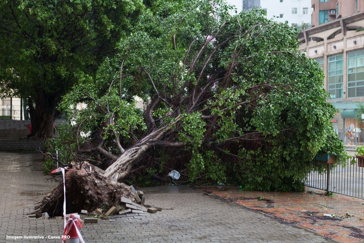 Comboio de tempestades Governo pede apoio ao Fundo de Solidariedade da UE, prejuízos acima de 5,3 mil milhões de euros