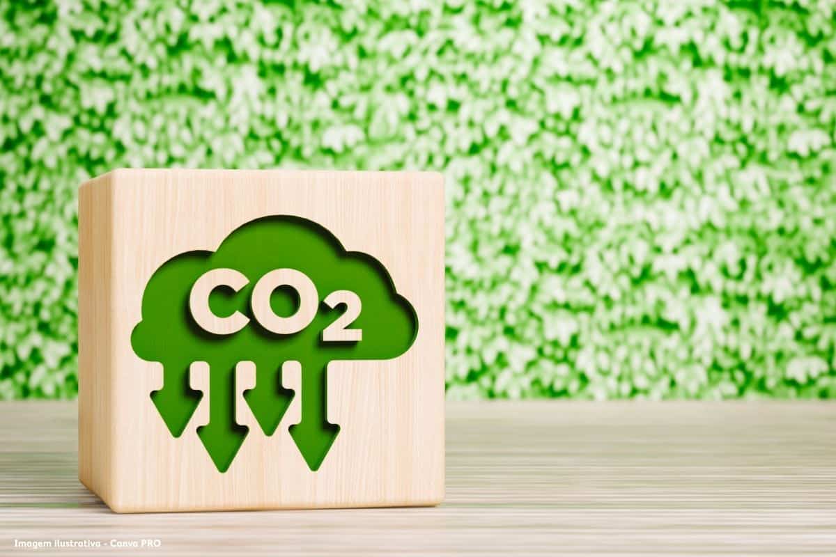 Eco-Oil evitou a emissão de mais de 80 mil toneladas de CO2 em 2025