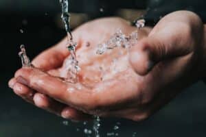 Filipa Alves é a nova presidente da Águas do Centro Litoral