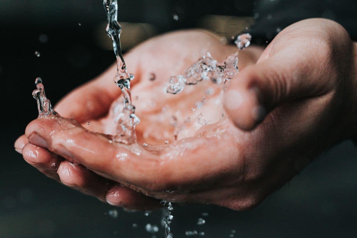 Filipa Alves é a nova presidente da Águas do Centro Litoral