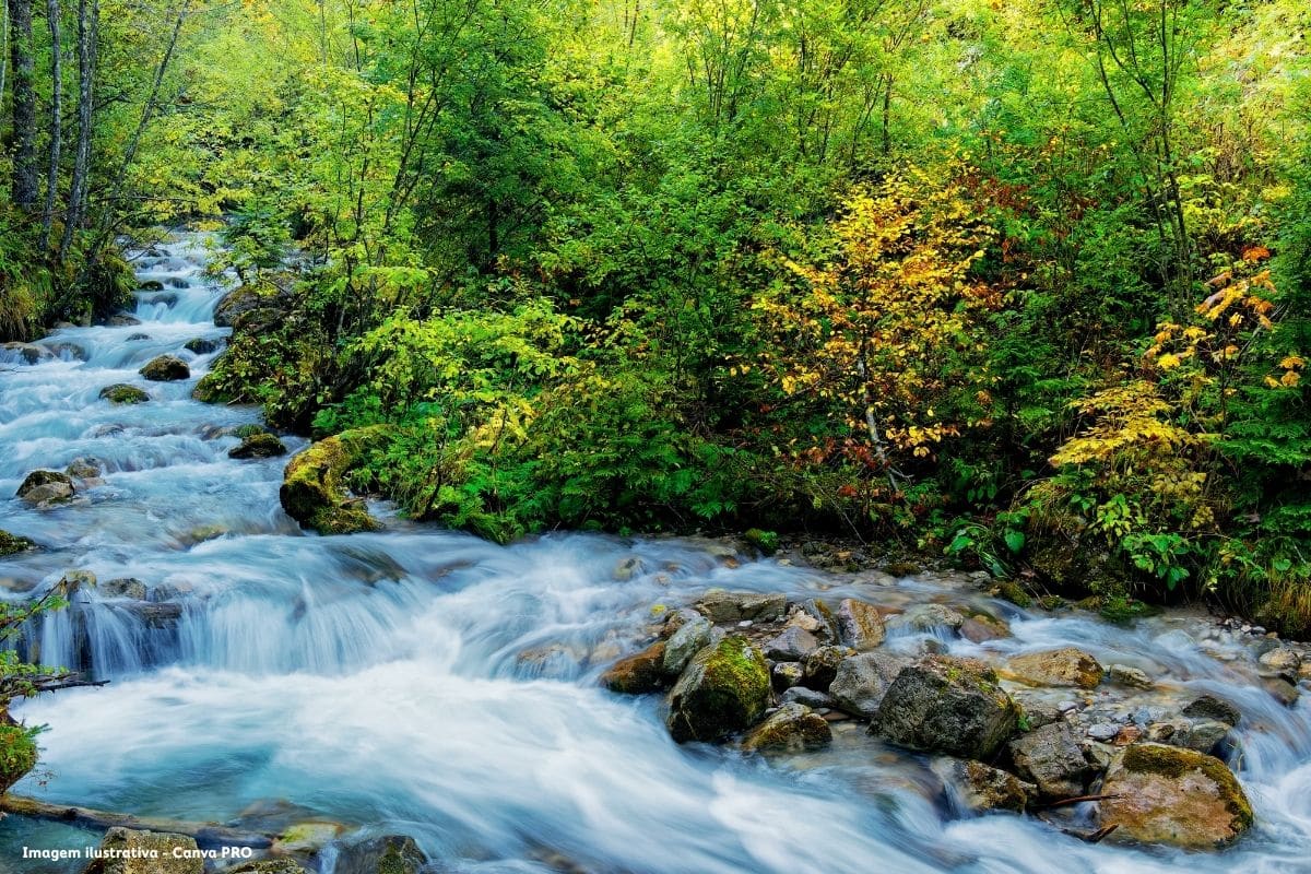 Investigadores alertam que avaliação da saúde dos rios em Portugal está incompleta