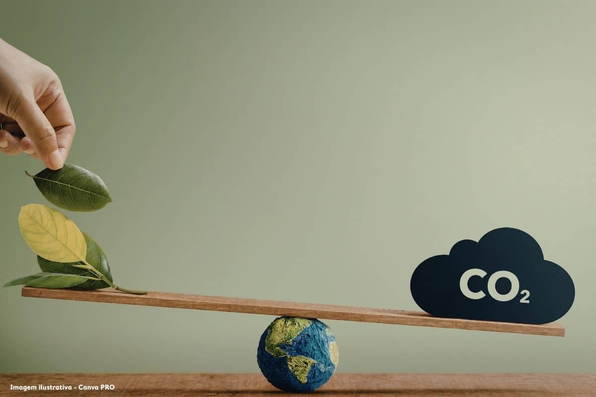 Portugal precisa de acelerar aposta no biometano, diz estudo