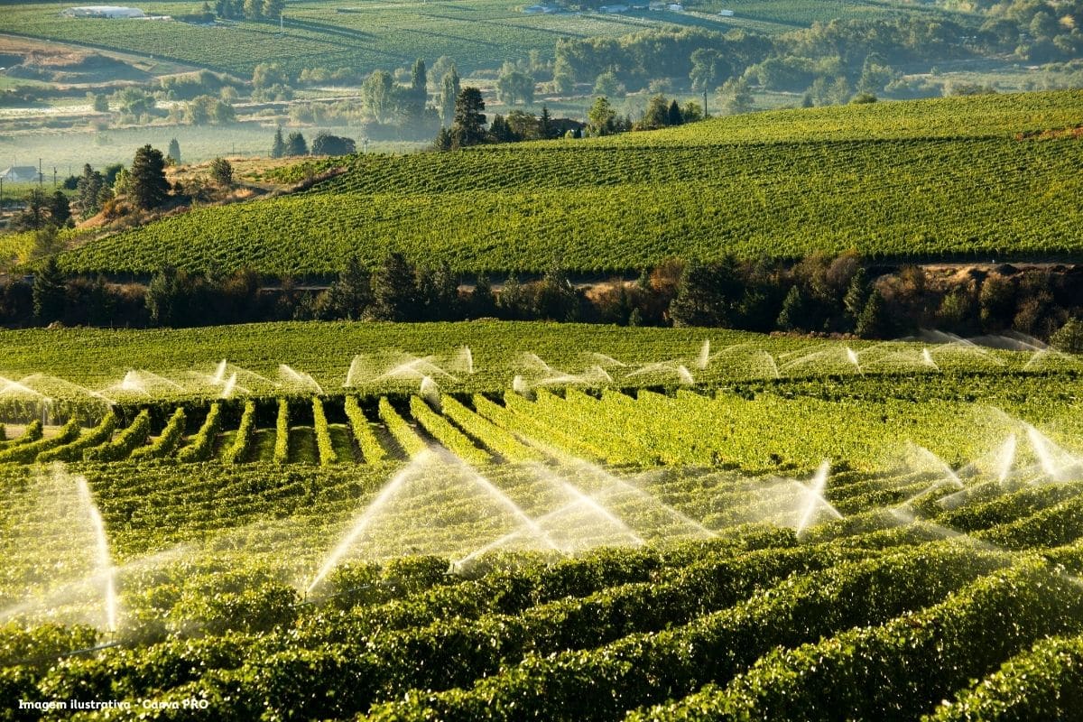 Projeto português quer avaliar uso de água reutilizada na agricultura