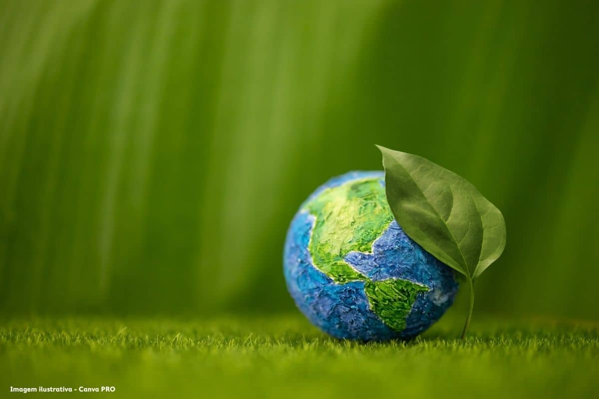 Basileia, clima e o equívoco do “abrandamento” ambiental
