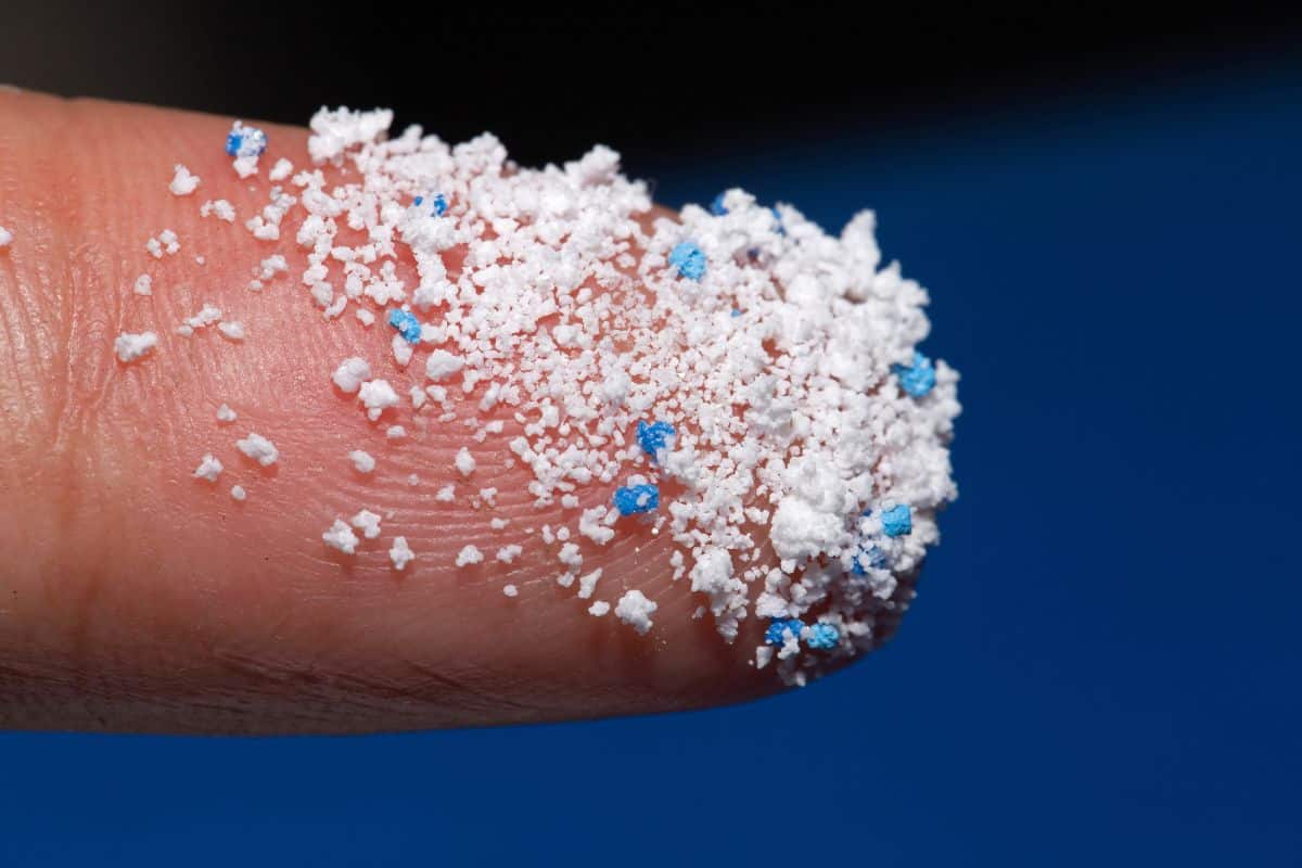 Estudo mostra presença generalizada de microplásticos nos rios Mondego e Vouga