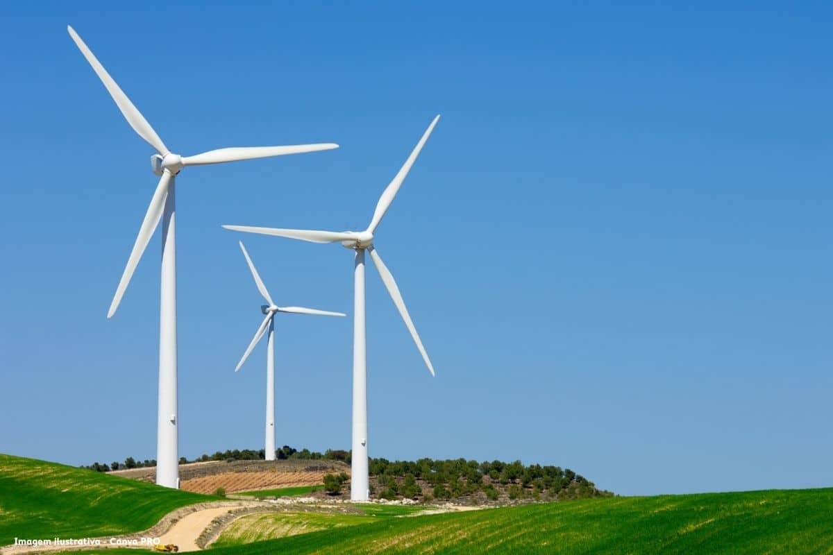 Estudo alerta que Europa investe pouco em energia eólica e renovação de edifícios