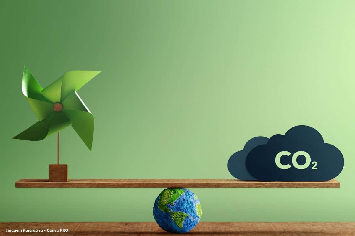 Nasce no Sabugal primeiro projeto na plataforma Mercado Voluntário de Carbono português