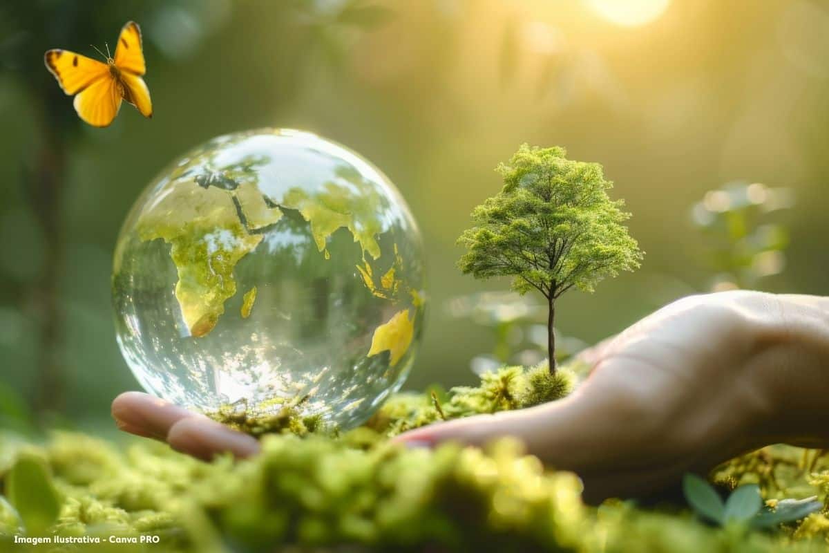 Oeste oito empresas e instituições galardoadas com Selo AgIR-Indústrias em Evolução pelo desempenho ambiental