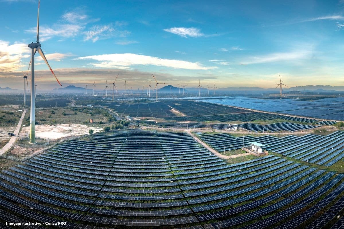 Plataforma Nordeste Vivo contra instalação de parques eólicos e fotovoltaicos