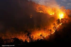 Incêndios. Oito distritos com dezenas de concelhos em perigo máximo