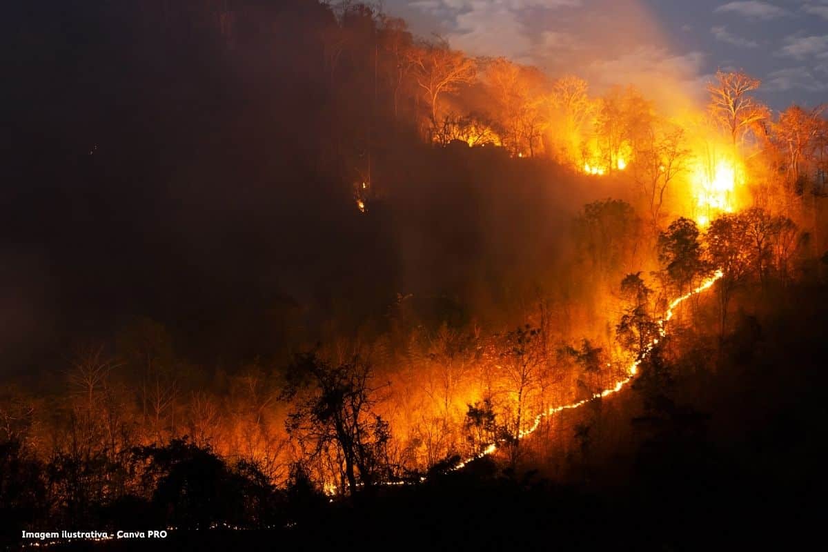 Incêndios. Oito distritos com dezenas de concelhos em perigo máximo