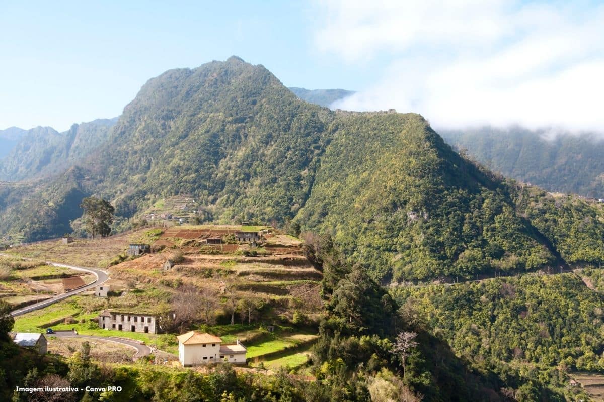 Madeira concentra serviços ambientais na nova Direção Regional do Ambiente e Mar